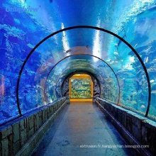 100% matière première lucite sous-marine en verre acrylique transparent aquariums